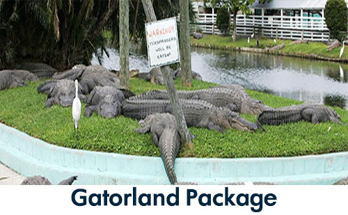 orlando vacation packages