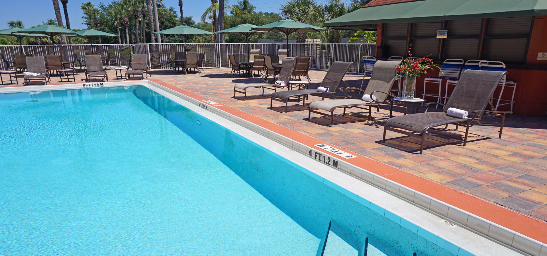 Thb Comfort Inn Maingate Hotel In Orlando